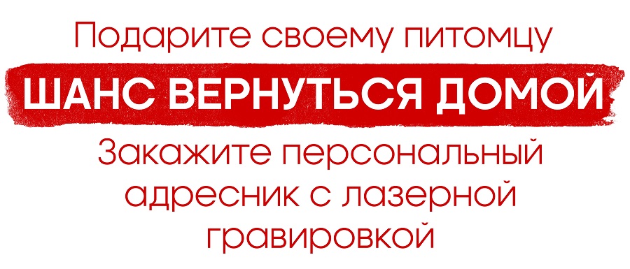 Адресник + кольцо всего за 490 рублей включая гравировку!